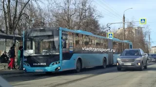 Во Владимире на маршрут вышел автобус-гармошка