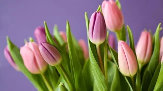 Владимирцам рассказали, как дольше сохранить букеты свежими