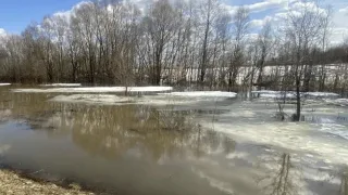 Во Владимирской области произошла первая трагедия на воде в 2026 году