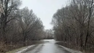 Во Владимирской области в половодье затопило мост и 4 участка дорог