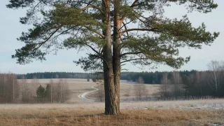 Прогноз погоды во Владимирской области на 4 апреля 2026 года