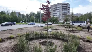 Во Владимире озеленили перекресток проспекта Строителей с улицей Балакирева