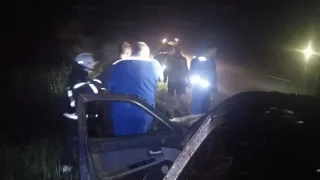 В Гусь-Хрустальном ночью легковушка сбила лося