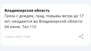 МЧС предупредило владимирцев о грозе и граде 4 июня