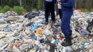 Работа мусорного комплекса в Камешковском районе снова вызвала вопросы у прокуратуры
