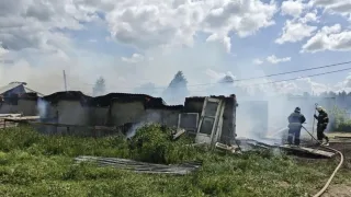 Пожар на ферме в Муроме забрал жизни кроликов и нутрий