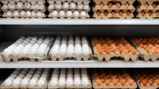 Опасные яйца в магазинах: производителям хотят разрешить опасные добавки из-за «яичного кризиса»