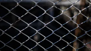 В Камешково молодого водителя осудили за поездку с инспектором ДПС на капоте автомобиля
