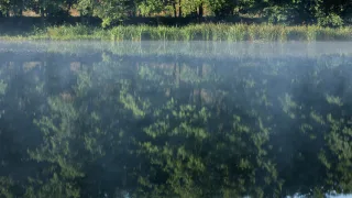 Во Владимирской области утонул ребенок