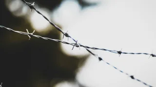 Из Владимирской области выслали более 300 иностранцев