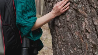 Во Владимирской области спасли женщину, которая заблудилась в лесу
