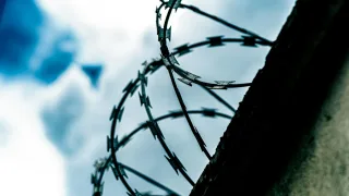 Прокуратура Владимира обнаружила нарушение в оплате больничного осужденному
