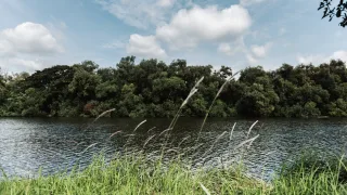 Во Владимирской области утонул шестилетний ребенок