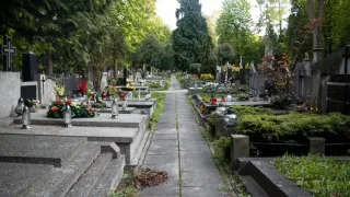 Жителя Владимира признали виновным за осквернение символов  воинской славы России