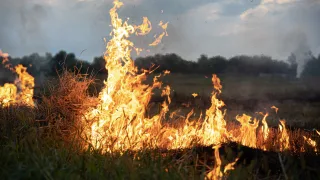 Во Владимирской области установили режим пожароопасного сезона