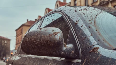 Во Владимирской области столкнулись два легковых автомобиля
