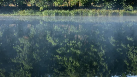 Во Владимирской области утонул ребенок