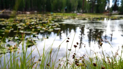 За сутки во Владимирской области на водоемах погибли два человека