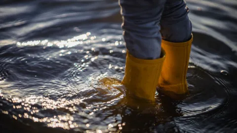 Во Владимирской области подвели итоги пожароопасного и купального сезонов