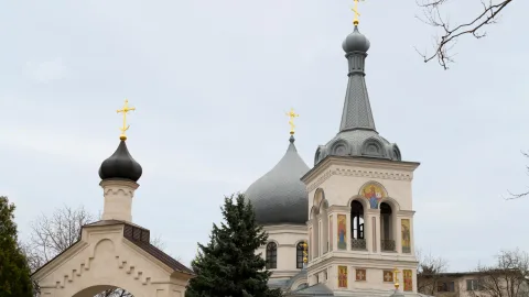 Во Владимир привезут ковчег с мощами святой праведной Иулиании Лазаревской