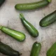 Кабачки лежат до следующего лета — не гниют, не сохнут: радую семью летними блюдами круглый год