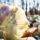 В Гороховце оштрафовали мусорного оператора за переполненные контейнеры