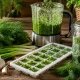 Беру укроп, лук, масло и чеснок: получается вкуснючая добавка к горячему на всю зиму — вместо сушеной зелени и заморозки в пакетах