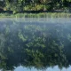 Во Владимирской области утонул ребенок