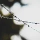 Из Владимирской области выслали более 300 иностранцев