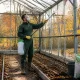 Мою теплицу осенью только так: эти 2 средства не разрушат поликарбонат – проверено на себе
