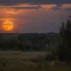 Оленье полнолуние 29 июля — точка невозврата: как использовать этот день, чтобы жизнь пошла по-новому