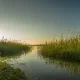 В Собинском районе завод загрязнял реку Колокшу сточными водами