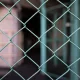 Жизнь Блиновской в колонии Владимирской области оценили как удовлетворительной