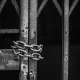 Во Владимирской области будут судить жителей Москвы по делу о мошенничестве