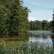 Во Владимирской области проводят работы по очистке русла реки Колпь
