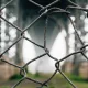 Жителя Собинского района задержали за избиении до смерти знакомого