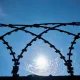 Юрист назвал сумму, которую Блиновская может тратить в колонии Владимирской области