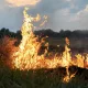 Во Владимирской области установили режим пожароопасного сезона