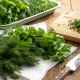 Заморозка зеленушки без слипшихся ледяных комков: укроп и петрушка всю зиму как с грядки — и никакой соли