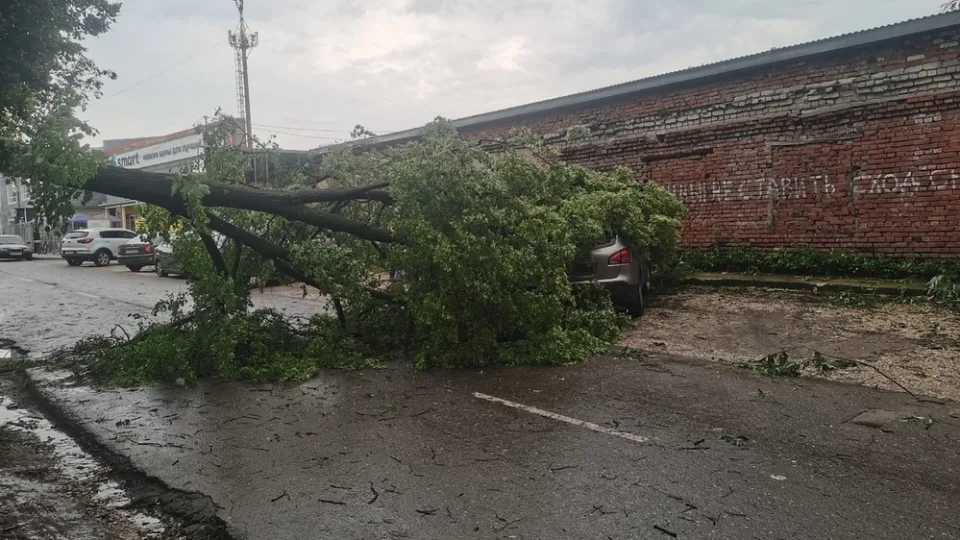 Ураган «Эдгар» во Владимире