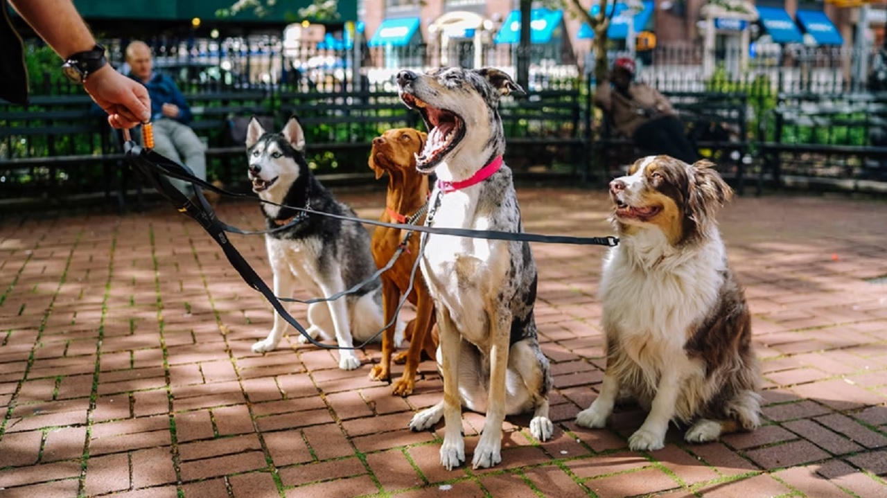 unsplash.com unsplash.com