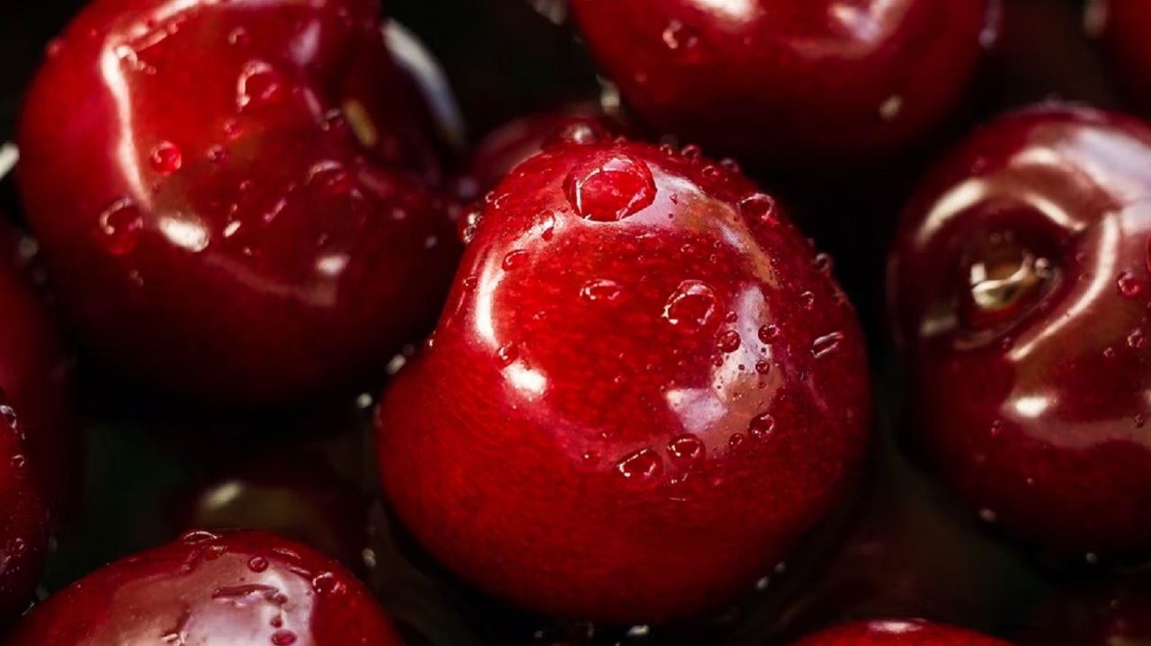 unsplash.com unsplash.com