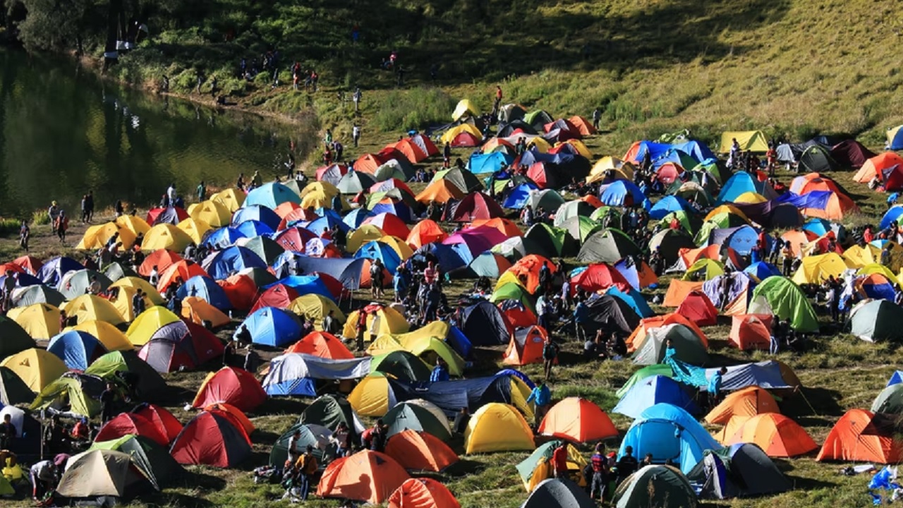 unsplash.com unsplash.com