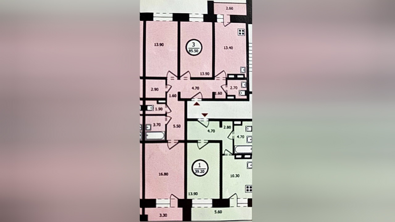 планировка квартиры Дарьи (розовый цвет)
