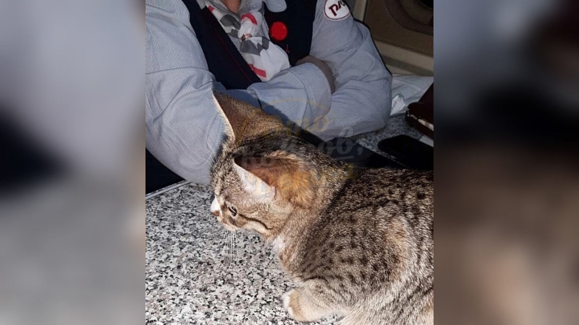 группа «Подслушано Ковров» во «ВКонтакте» группа «Подслушано Ковров» во «ВКонтакте»