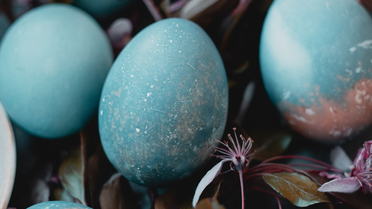 unsplash.com unsplash.com