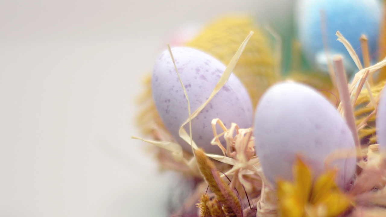 unsplash.com unsplash.com