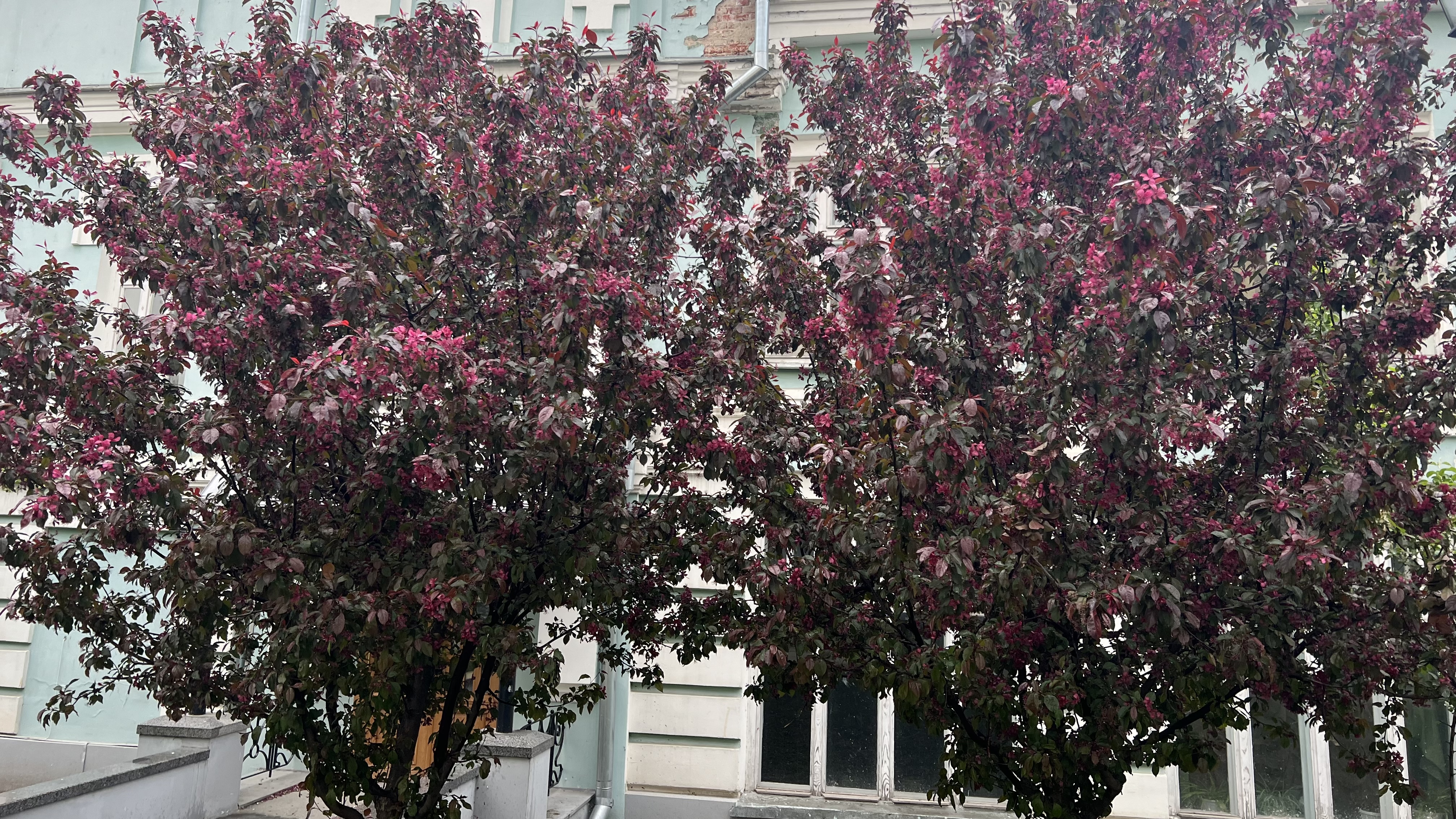 День во Владимире День во Владимире