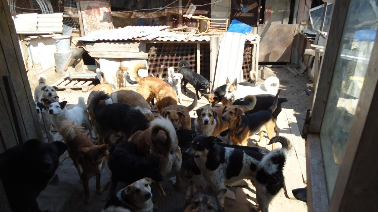 соцсети Николая Смотрова соцсети Николая Смотрова