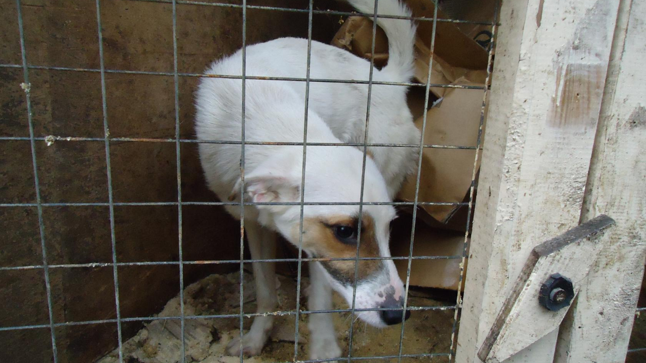 соцсети Николая Смотрова соцсети Николая Смотрова